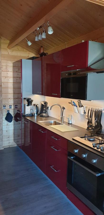 Prachtig Scandinavisch Chalet Makkum Dış mekan fotoğraf